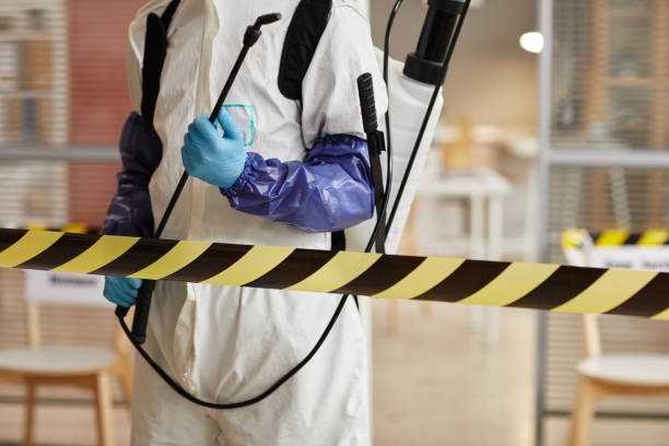 Professional Odor Removal technician working in Mentone, IN